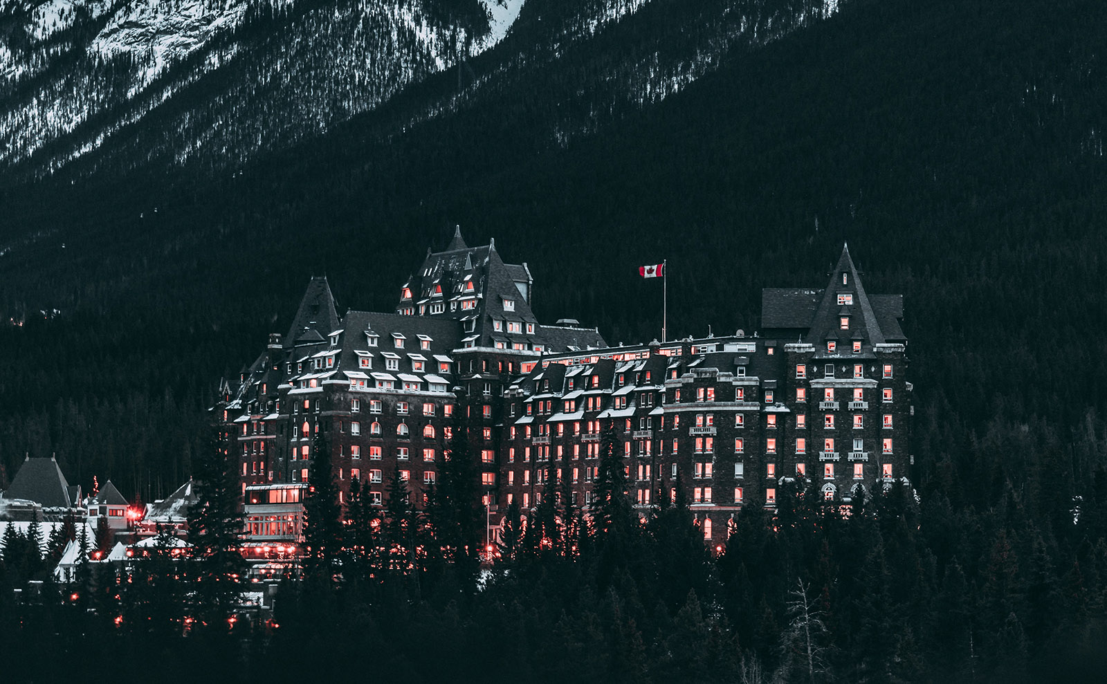 Banff Springs Hotel, Bookshop Cats, Galápagos Library & More: Endnotes 06 November