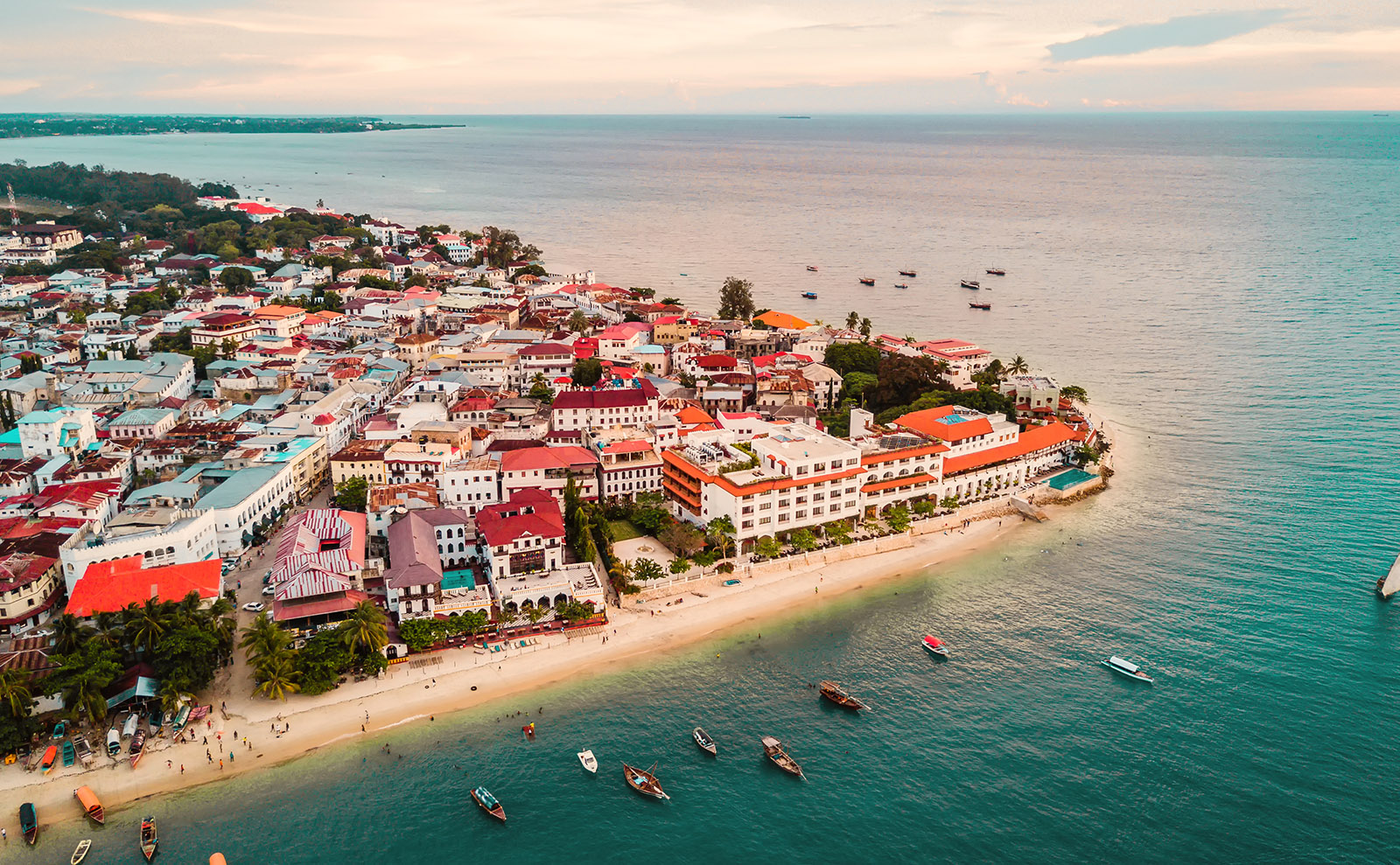 Zanzibar, New Gatsby, Bilingual Writing, Antarctica  & More: Endnotes 31 March