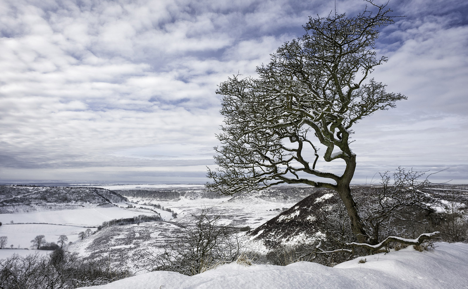Gothic Adventure on the Yorkshire Moors with the Brontës in 'The Diabolical Bones'