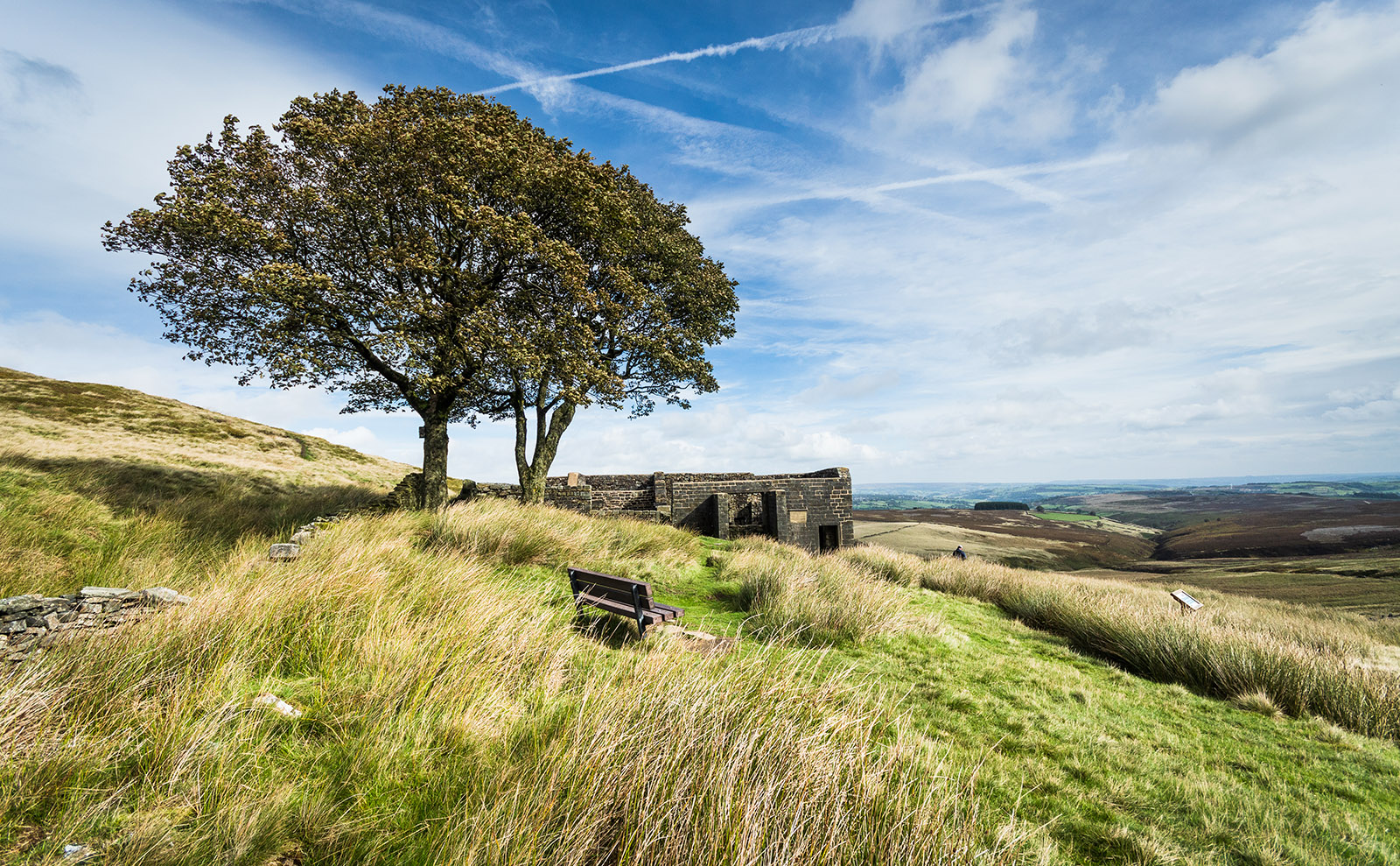 Spurn Convention and Solve a Mystery with the Brontë Sisters in 'The Vanished Bride'