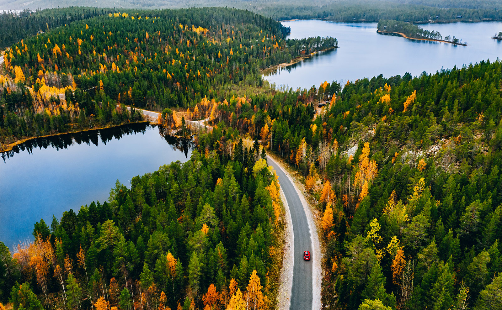 Visit a Beautiful Forest in the Poem 'The Way Through the Woods' by Rudyard Kipling