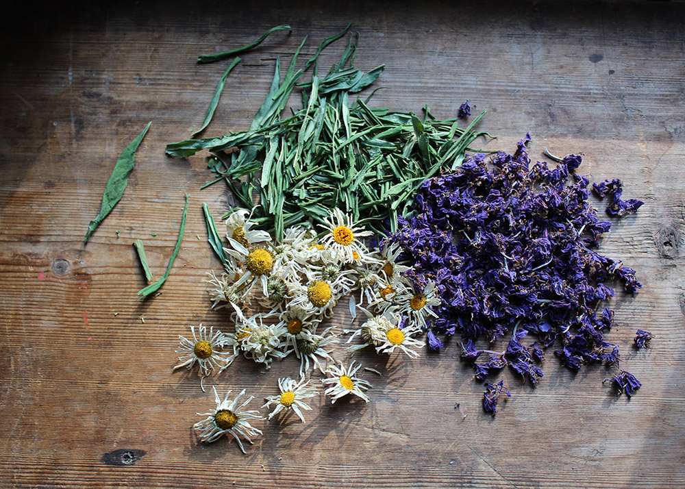 dried white and purple flowers on a wooden background