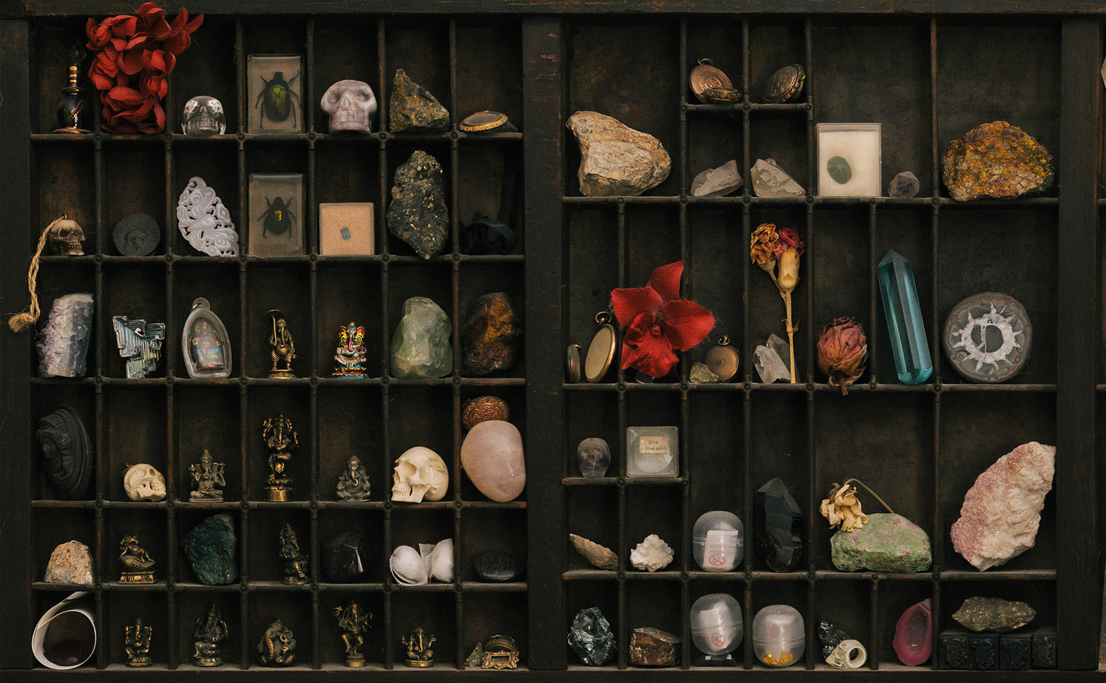 7 Dark Academia Novels to Get You Read(y) for a Perfectly Eerie Halloween