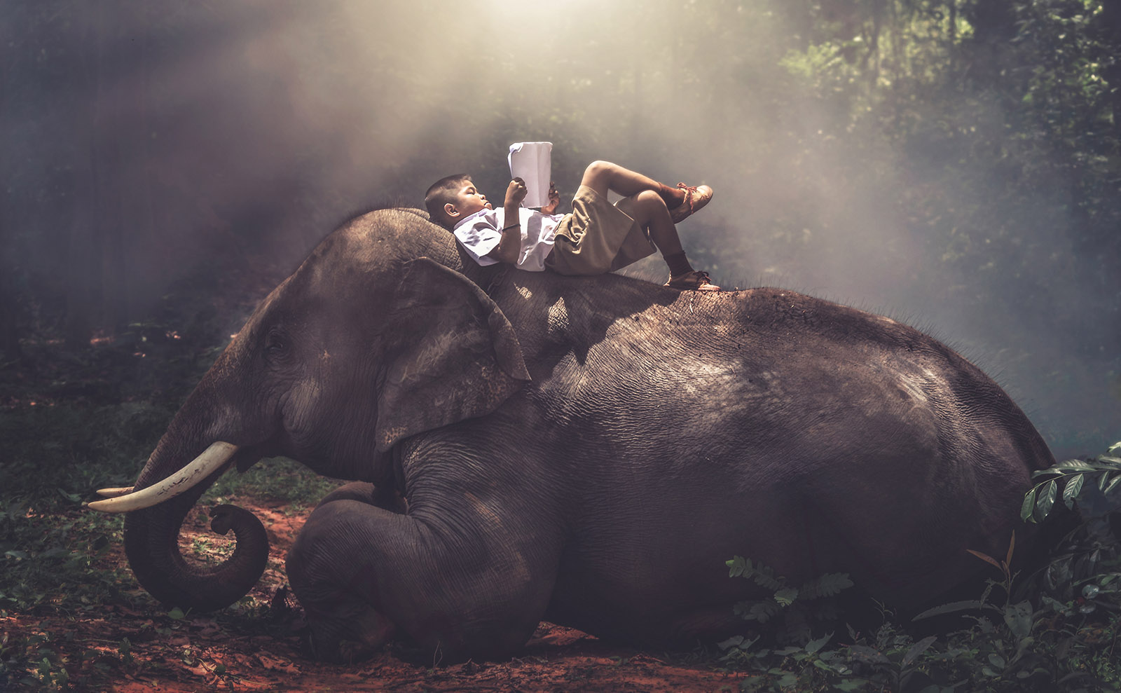 Author Ellen Yeomans Recommends The Best Picture Books for Travel Inspiration