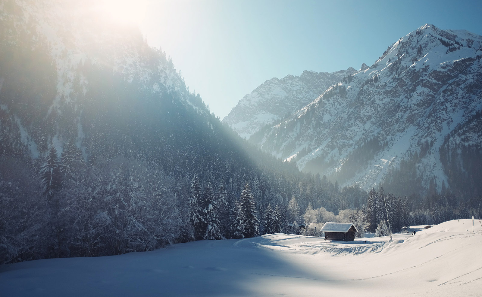 Stay Cozy with These 6 Books Set in the Cold and Snow