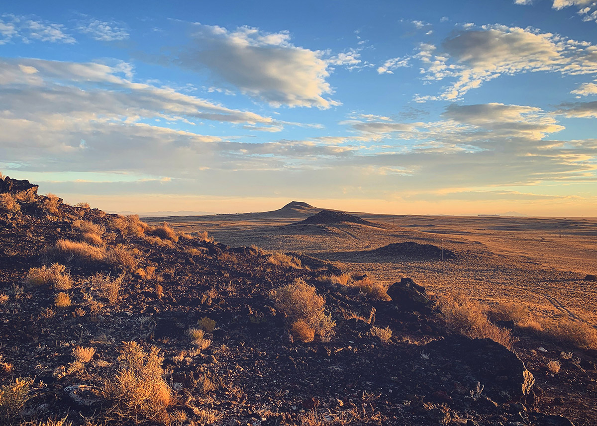 brown and gold scrubby bushes under a blue sky with white whispy clouds