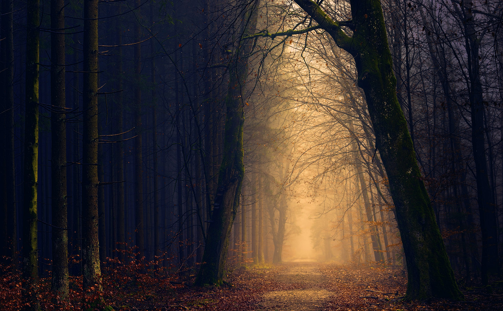 Travel to Styria and Be Seduced by the Perilously Alluring 'Carmilla'