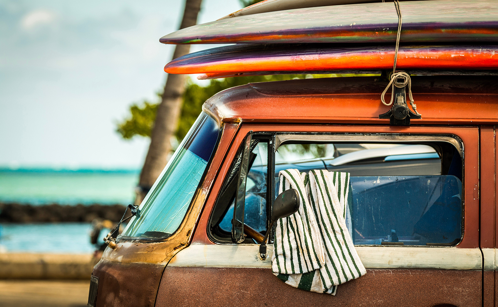 Fight a Deadly Ant Swarm and Sip a Piña Colada in Hawaii with 'Invasive'