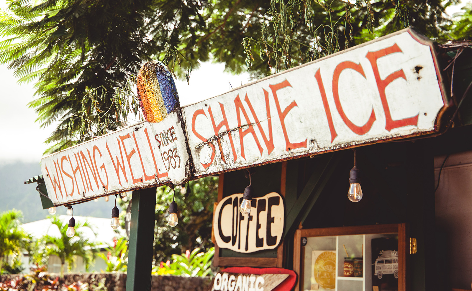 Hawaiian Spam Musubi Inspired by Michael Crichton's Adventure-Thriller 'Micro'