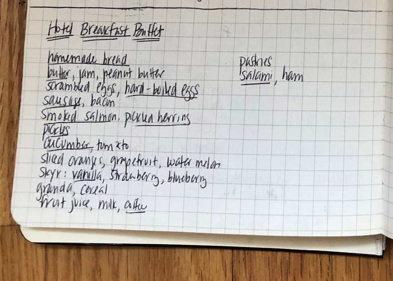 handwritten page from a journal