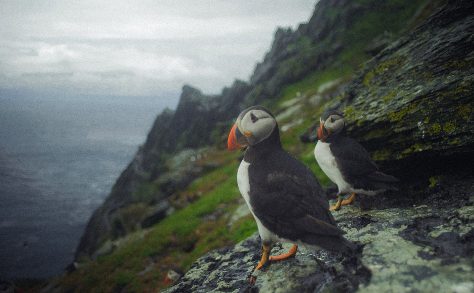 6 Great Books Set in Ireland That We Love