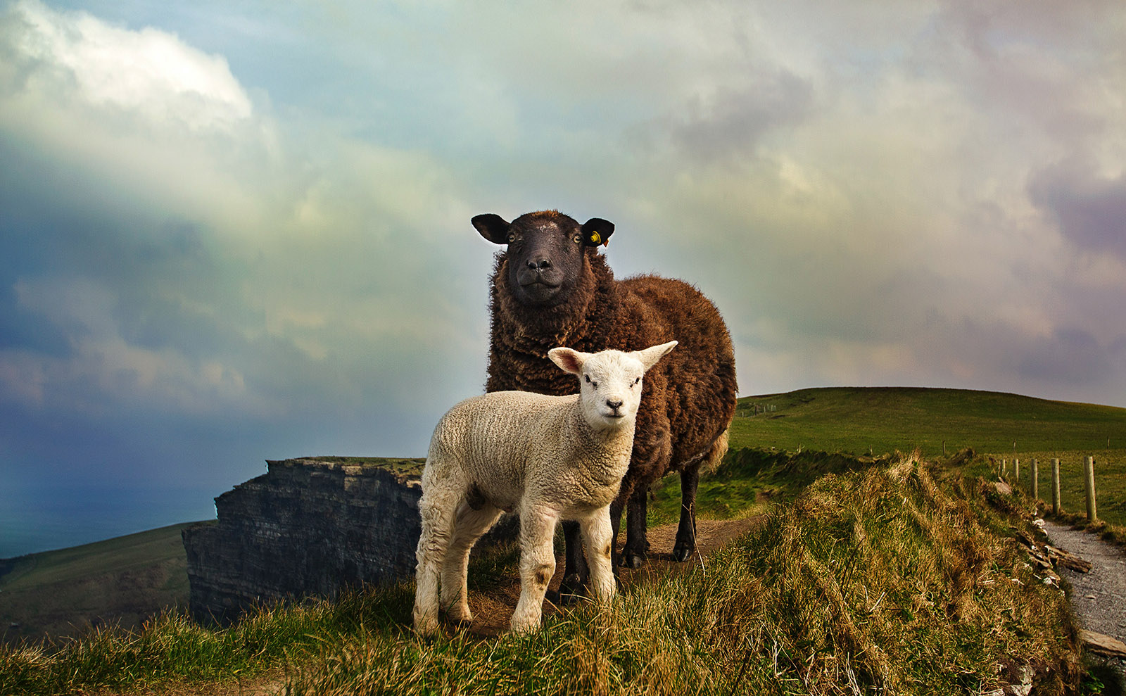 Traditional Irish Stew and Irish Soda Bread Inspired by 'That Old Country Music'