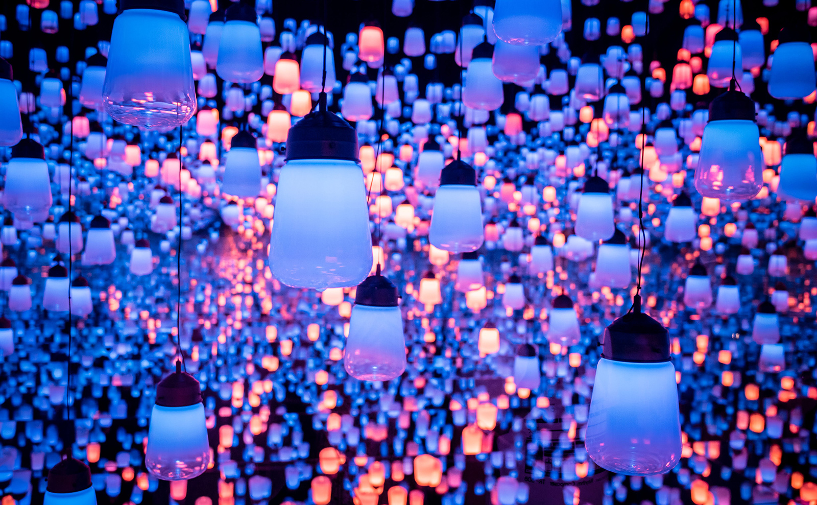 Gyoza Meatballs Inspired by 'The Great Passage'