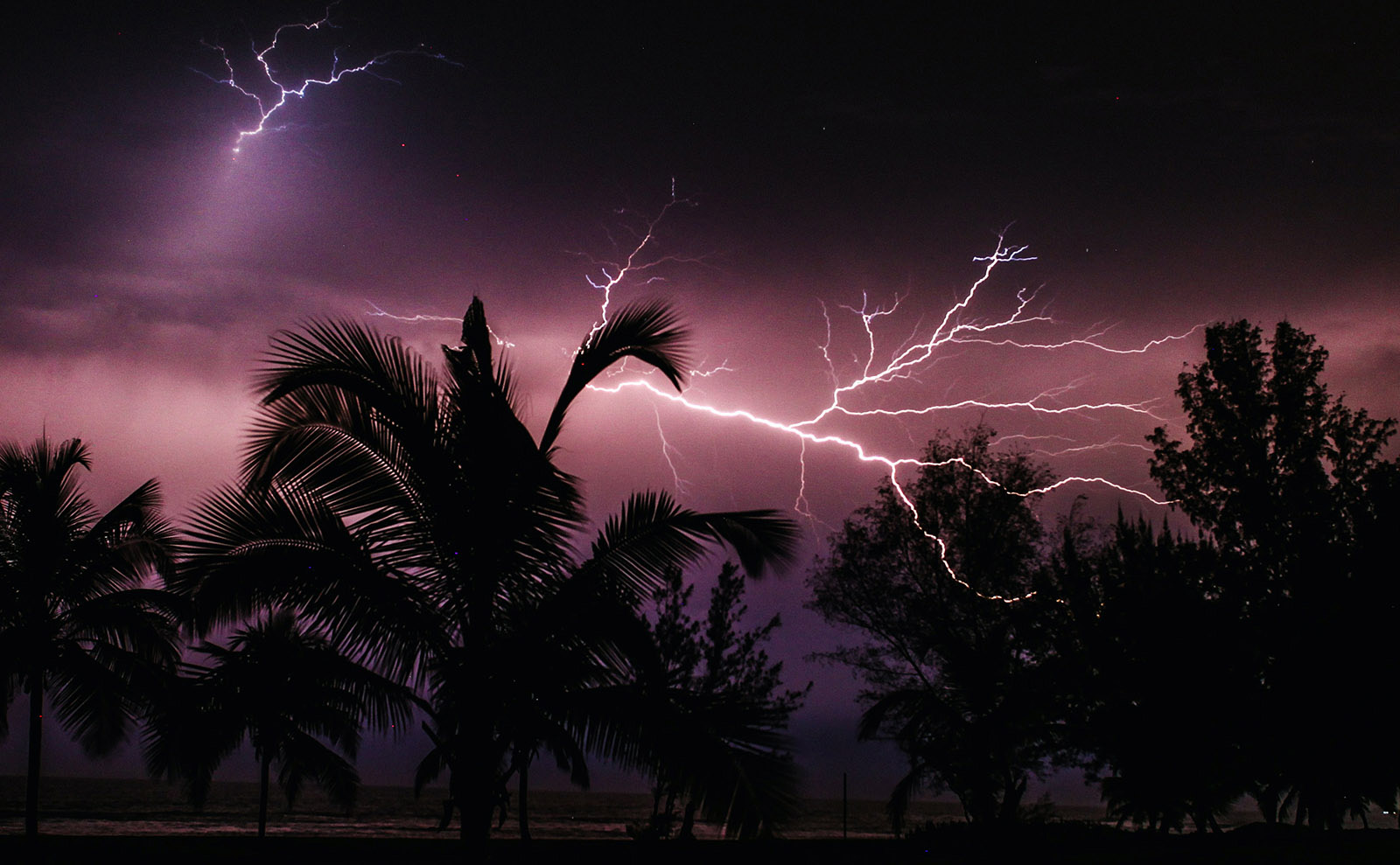 Fight for Freedom, Dignity, and Hope in Liberia with 'She Would Be King'