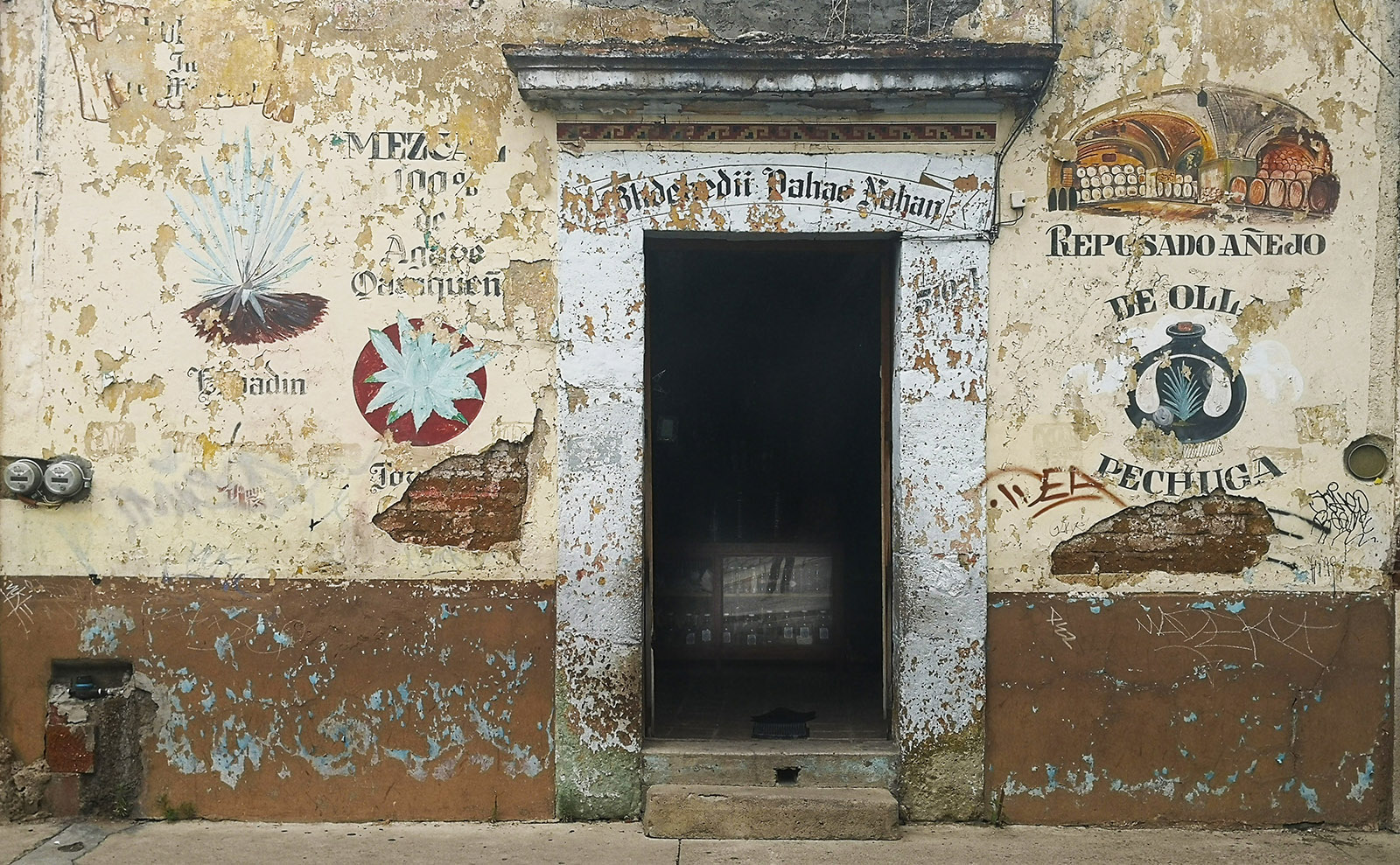 Get Caught Up in Vampire Gang Warfare in Mexico City with 'Certain Dark Things'