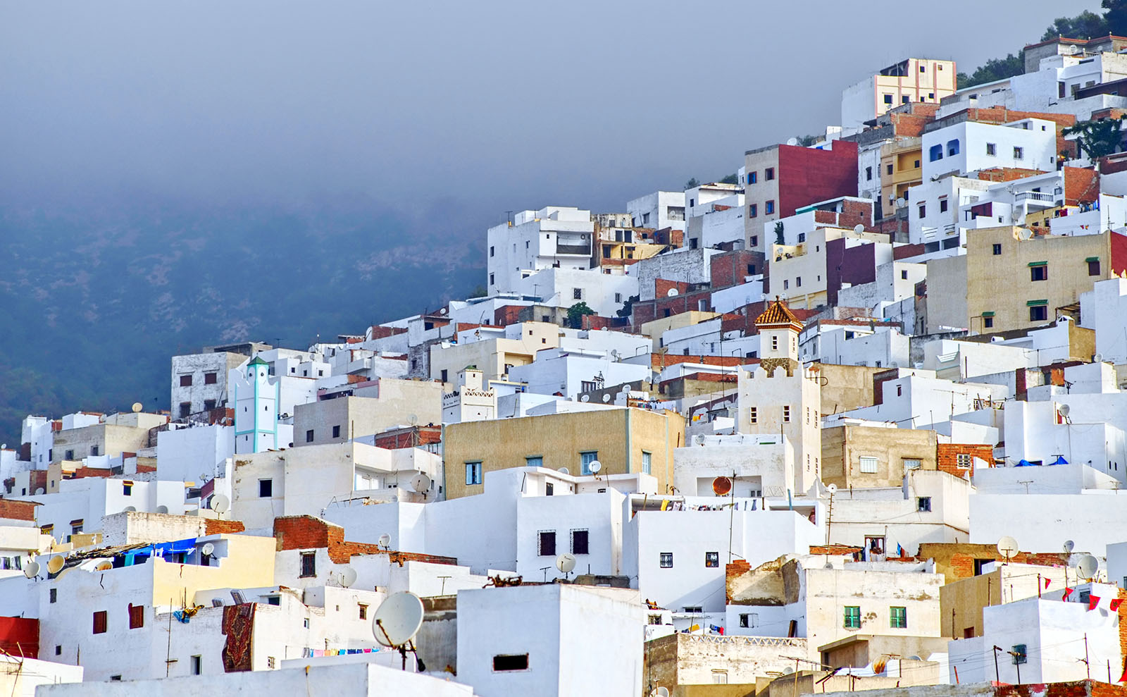 Moroccan El Minzah Orange Salad Inspired by the Novel 'Tangerine'