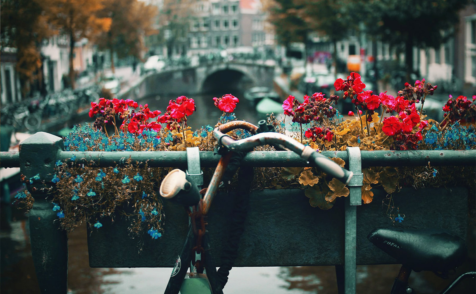 Celebrating Anne Frank Who Won the World's Heart With 'The Diary of a Young Girl'