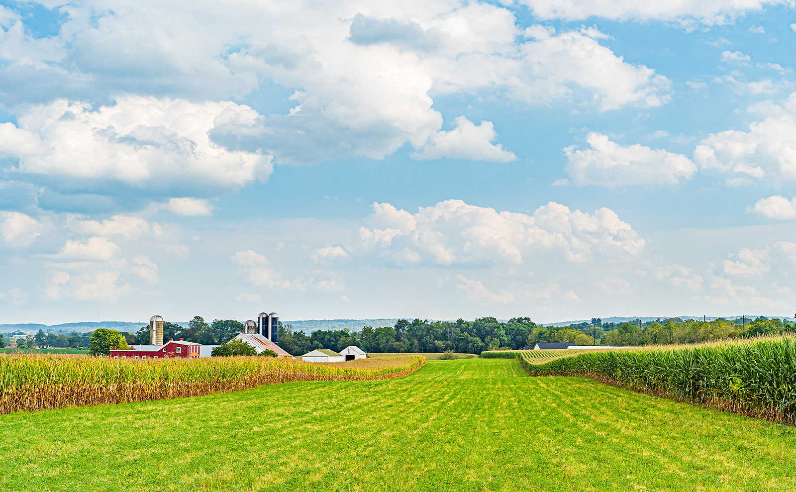 Pennsylvania Dutch Whoopie Pies Inspired by the memoir 'An American Childhood'