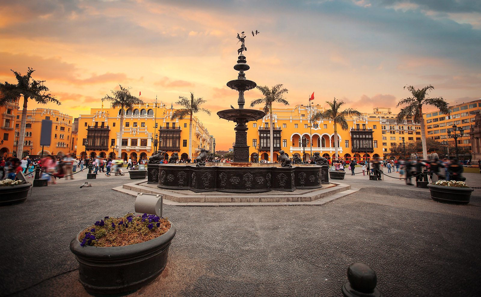 Peruvian Lomo Saltado Inspired by the Memoir 'Turn Right at Machu Picchu'