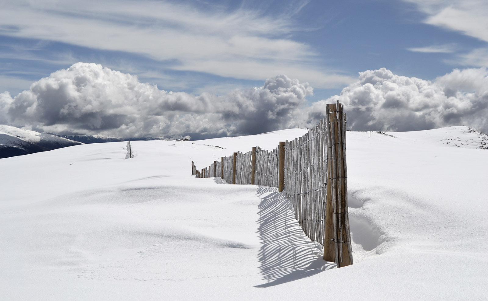 A Beautiful, Haunting Poem About Snow by Emily Dickinson