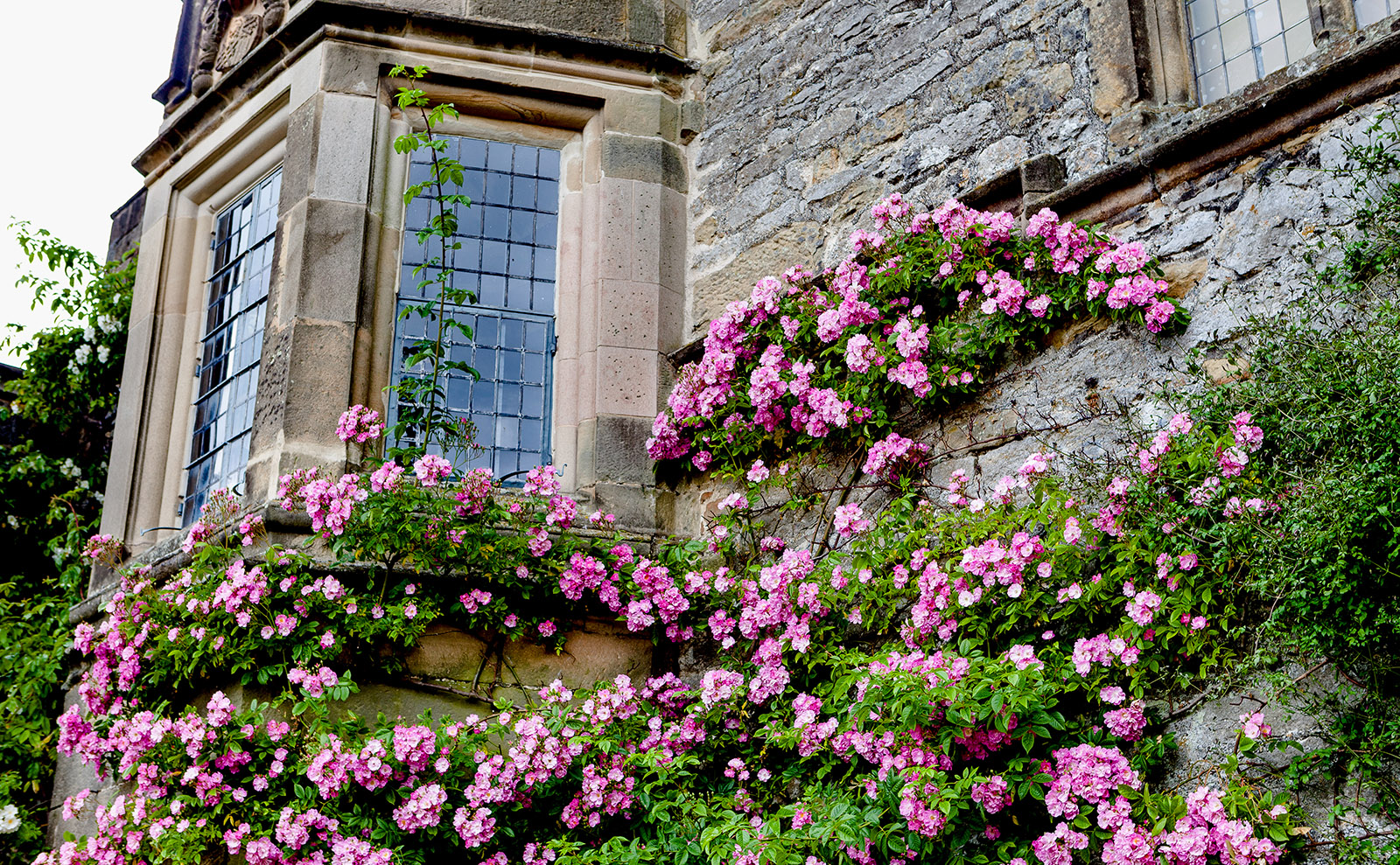 Happy Birthday to Charlotte Brontë, Born on This Day in 1816