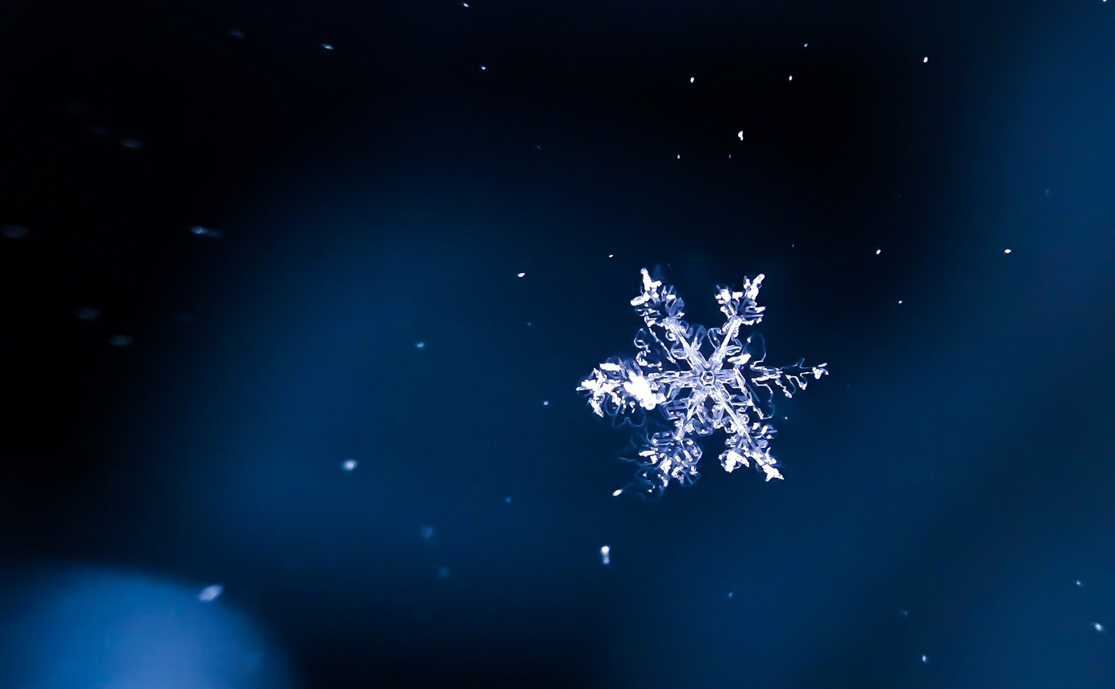 Romp Through Russian Folklore and History with a Fiery Heroine in 'Deathless'