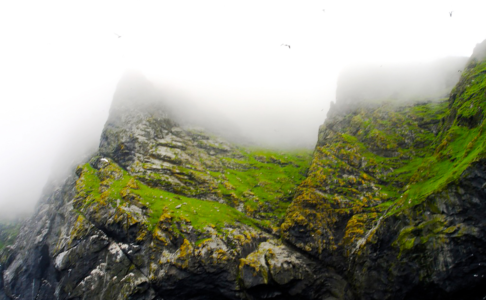 Vanilla-Maple Shortbread Inspired by 'The House Between Tides'