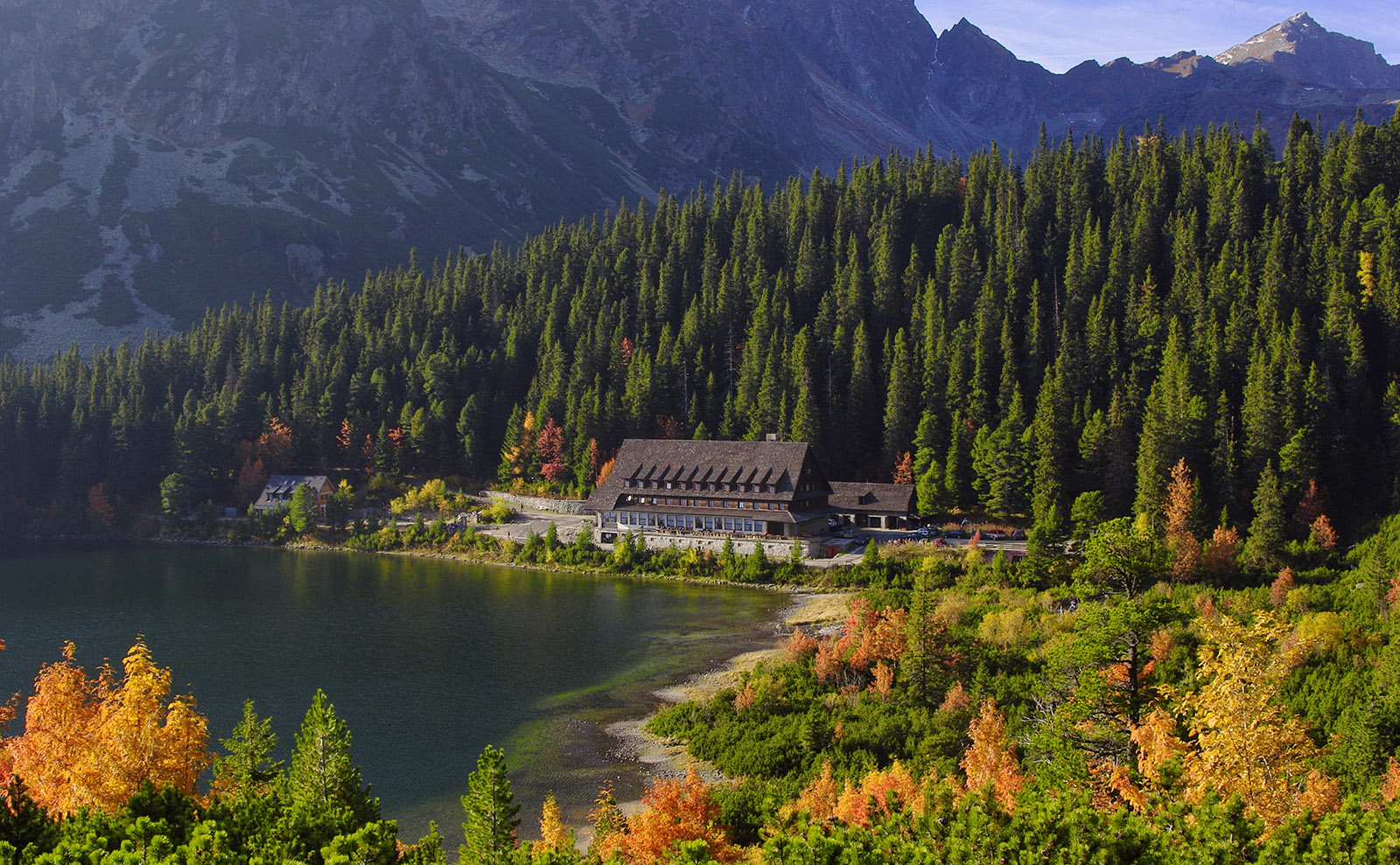 It's a Mysterious and Thrilling Train Ride in the Noir Classic 'The Lady Vanishes'