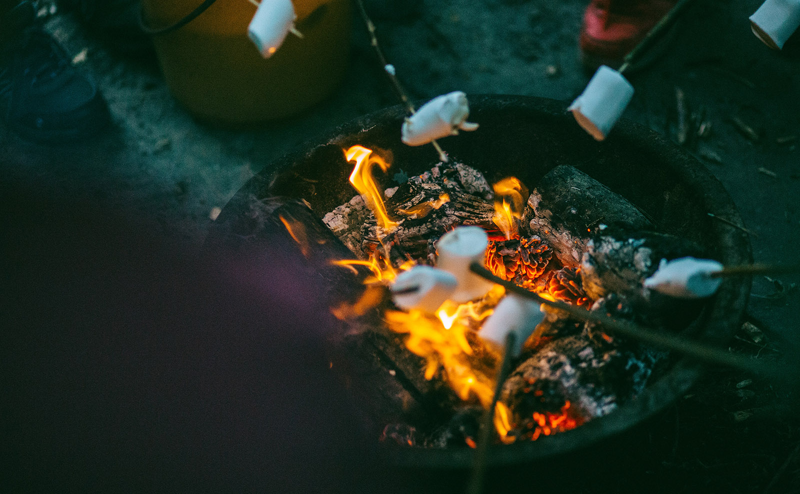 There's Mystery and Murder Afoot at Summer Camp in 'The Box in the Woods'