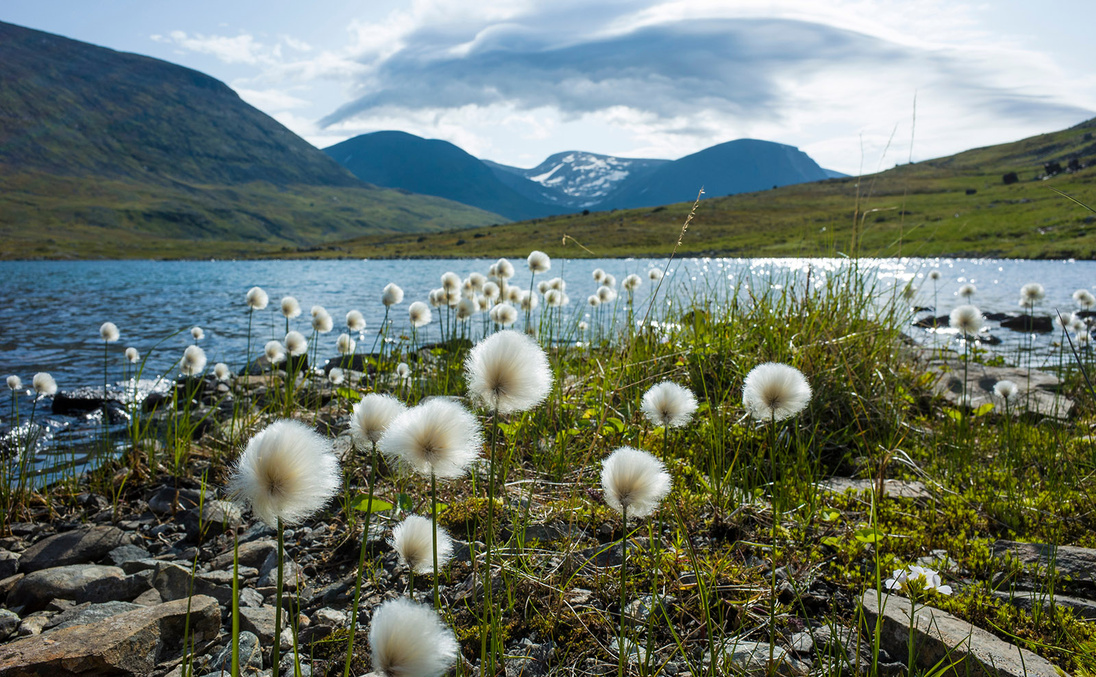 Explore Swedish Tradition in the Coming-of-Age Novel 'Popular Music From Vittula'