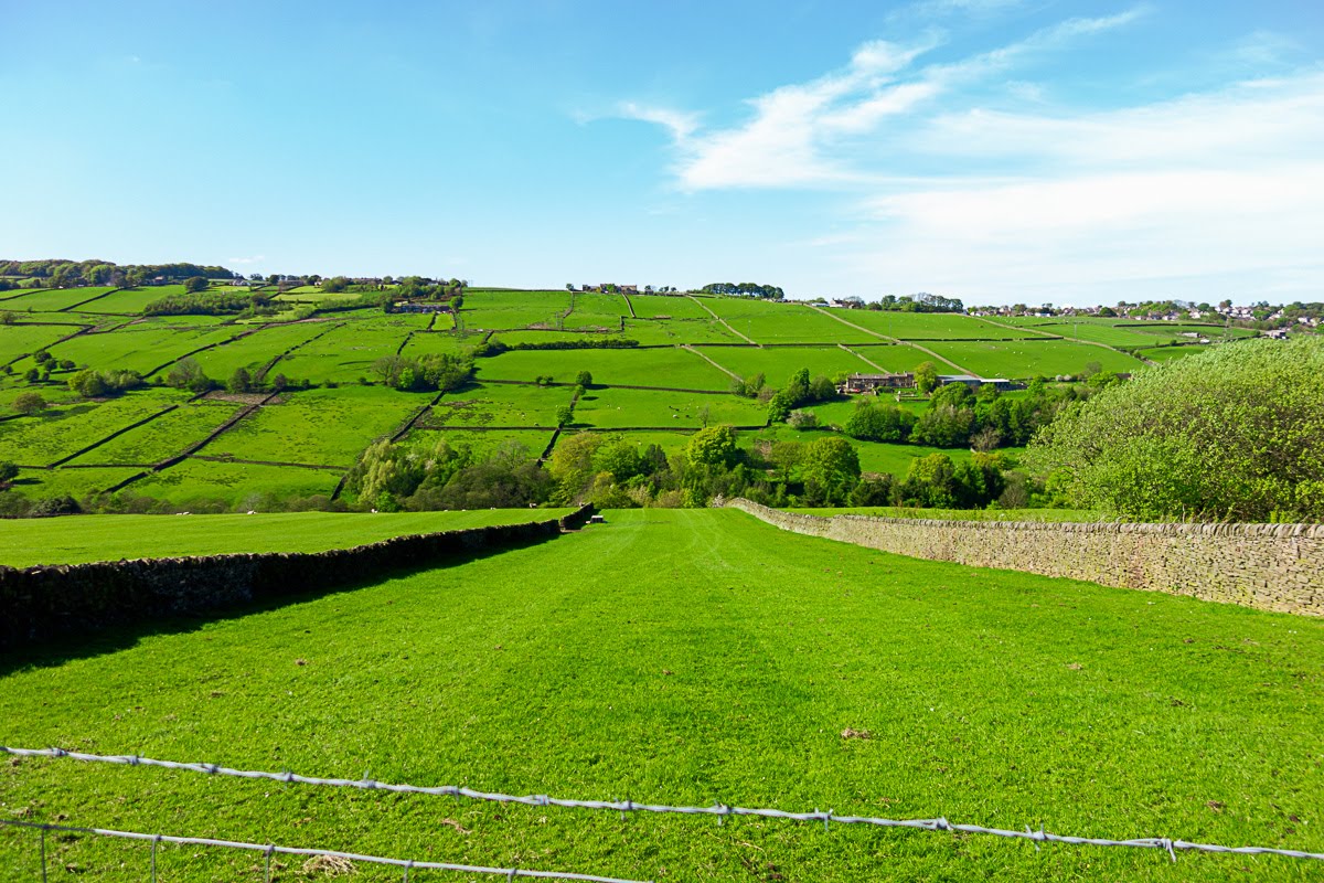 green meadow in haworth, uk