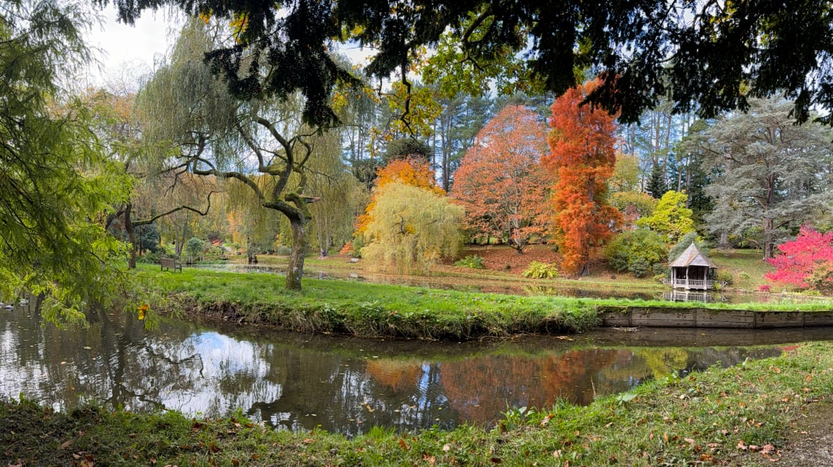 man and woman standing in front of a red tree