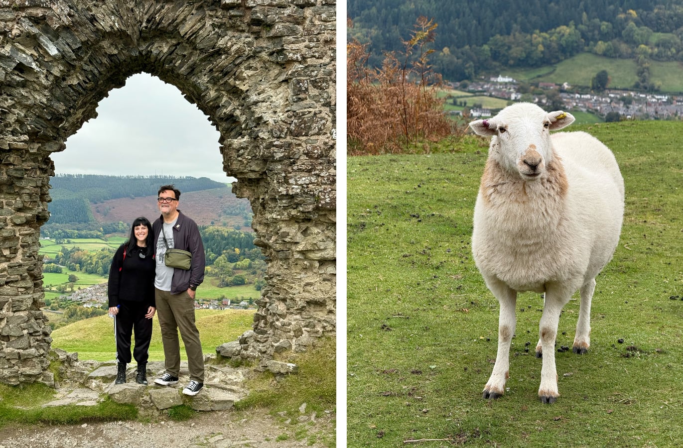 green hillside with castle ruins on the top