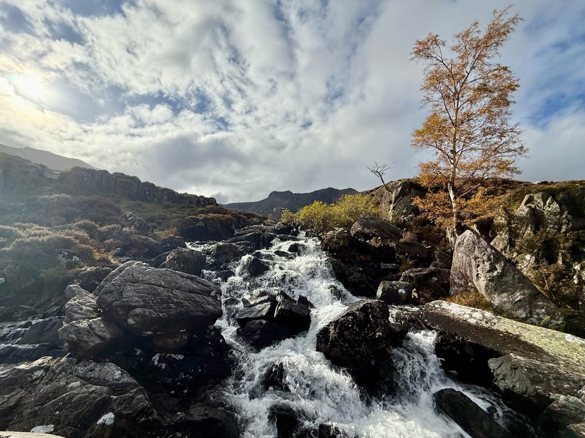 waterfall in a green field