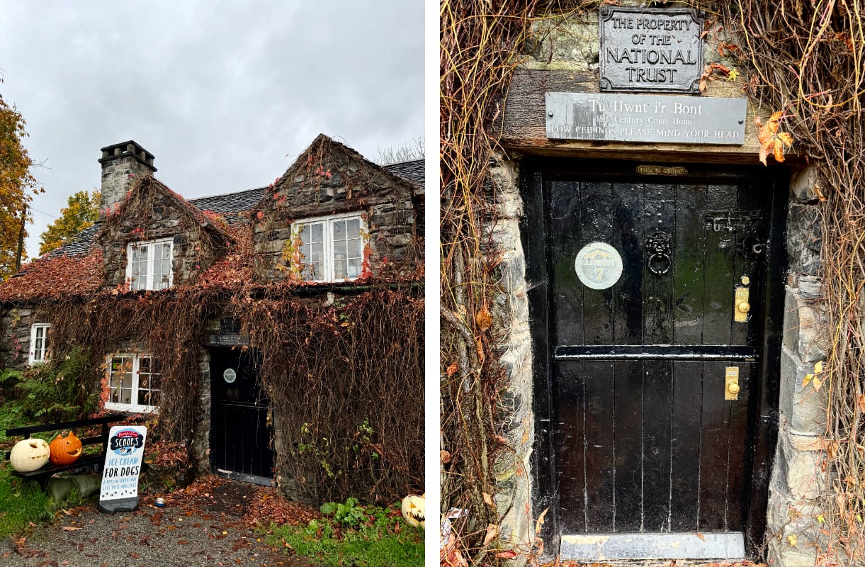 old stone building with red leafy vines climbing up the walls